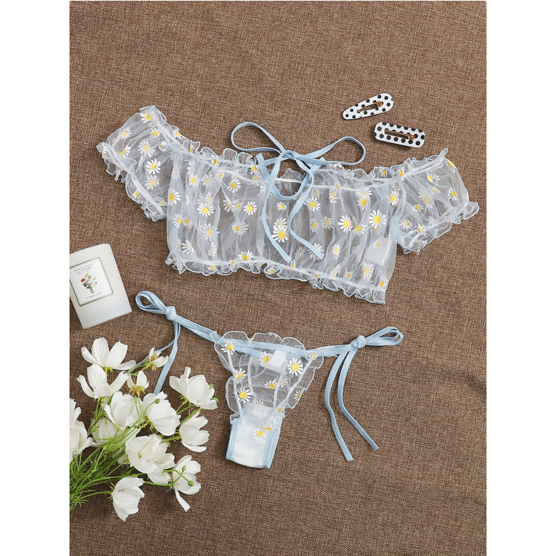 Sexy Lace Transparent Lingerie - Sheer Bra Lace recensione e prezzo