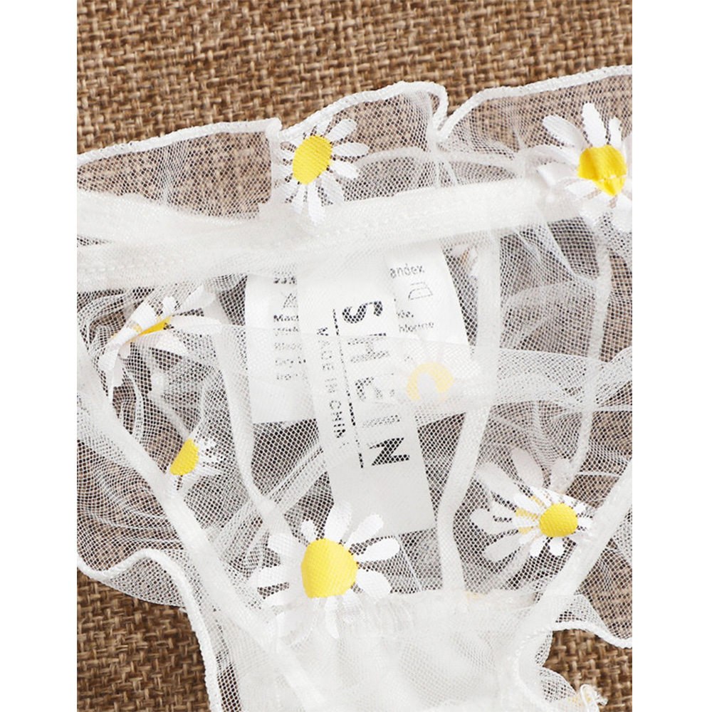 Sexy Lace Transparent Lingerie - Sheer Bra Lace recensione e prezzo